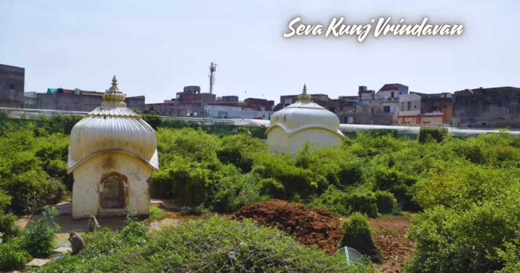 Seva Kunj Vrindavan