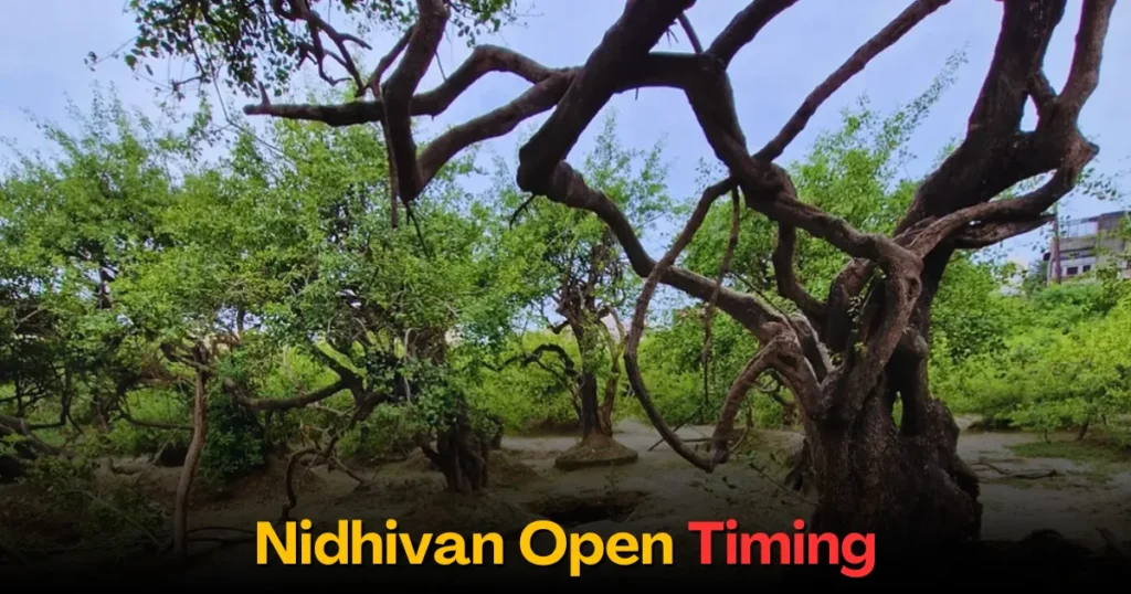 Nidhivan Open Timing