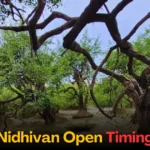 Nidhivan Open Timing