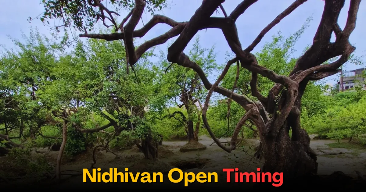 Nidhivan Open Timing